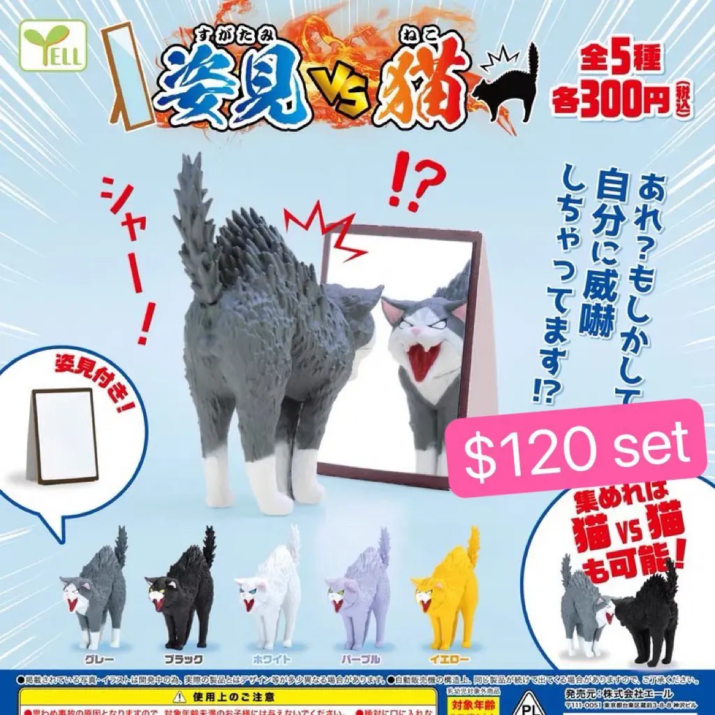 姿見vs貓扭蛋