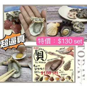 貝類扭蛋Vol.1