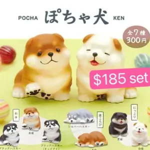 Pocha Ken 胖胖柴犬扭蛋