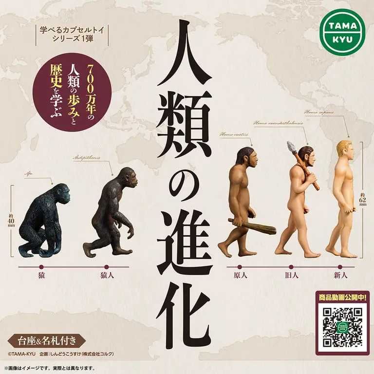 [JCCYSHOP+] TAMA KYU 人類の進化 扭蛋