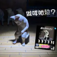 燃燒殆盡貓咪扭蛋