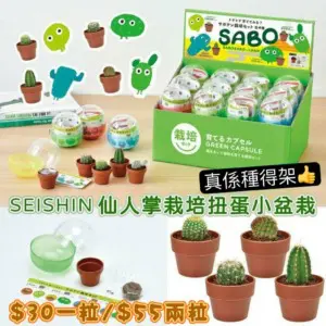 Seishin 仙人掌盆栽扭蛋