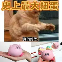 星之卡比訓覺隊扭蛋