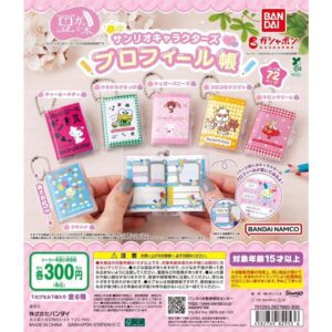 Sanrio紀念冊豆本扭蛋
