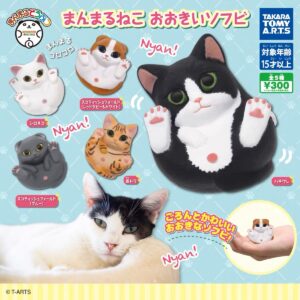 圓滾滾貓咪扭蛋